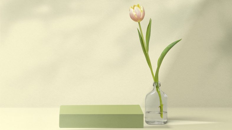 The Power of Aesthetics in Media Drops